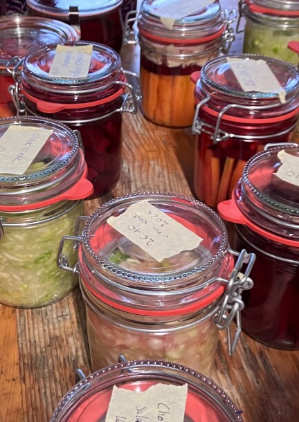 Atelier – Lacto-fermentation des légumes - Ateliers et stages