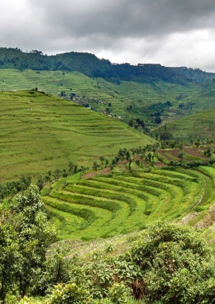 Voyage au Rwanda (conférence à 360°) - Conférences