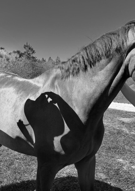 Rugby Night - Svaghi - D! Club - Lausanne