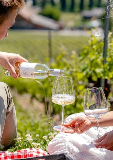 Les Curiades — vendanges, dégustation et fondue · Bernex - Balades et visites - Domaine des Curiades