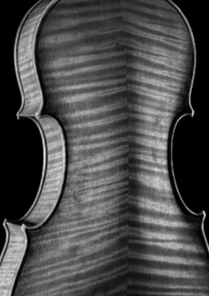 Alto - Musique de chambre - Session n°1 - Concerts