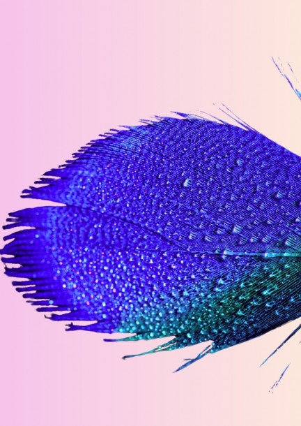 Atelier d'écriture - «Lettre... de mon frigo» - Workshops und Praktika