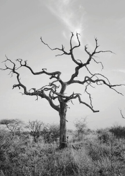 Requiem allemand - Concert de la Passion - Musique classique - Basilique de l'Abbaye de Saint-Maurice