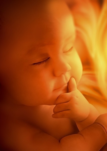 Expérience de naissance imminente (conférence) - Conférences