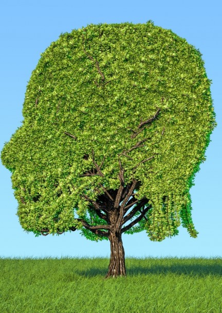 La robustesse : du concept à la mise en pratique - Ateliers et stages