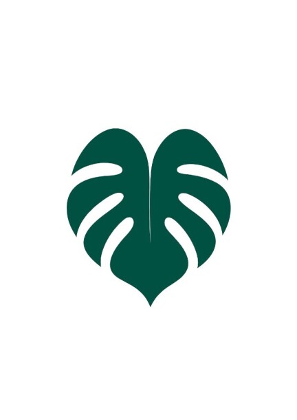 White Jungle Experience - Boat party - Festivals