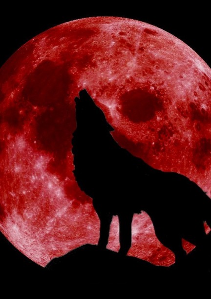 Viens jouer à la bibliothèque - Soirée Halloween : Jeu du Loup-garou (dès 9 ans) - Leisure activities