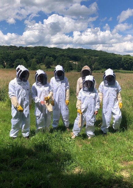 Découverte de l'apiculture - Workshops und Praktika - Vallée de la Millière