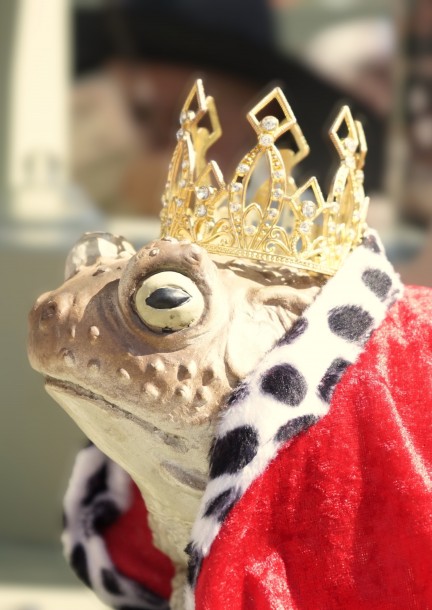 Drôles de Bestioles - Ausstellungen und Museen