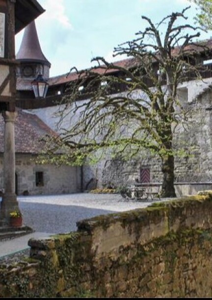 Lucens Classique, vendredi - Conciertos - Château de Lucens