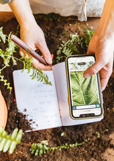 Bibliothèque - Atelier « Tamisage, nettoyage et conservation des graines » avec les Jardins éducatifs de la Côte - Workshops und Praktika