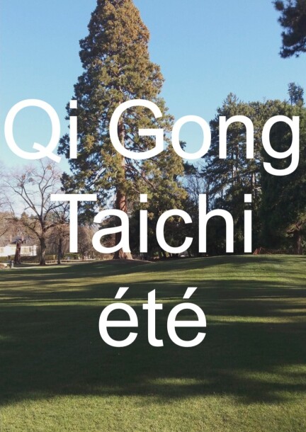 QI GONG-TAICHI d'été: Vernier - Sport - Objectif Santé
