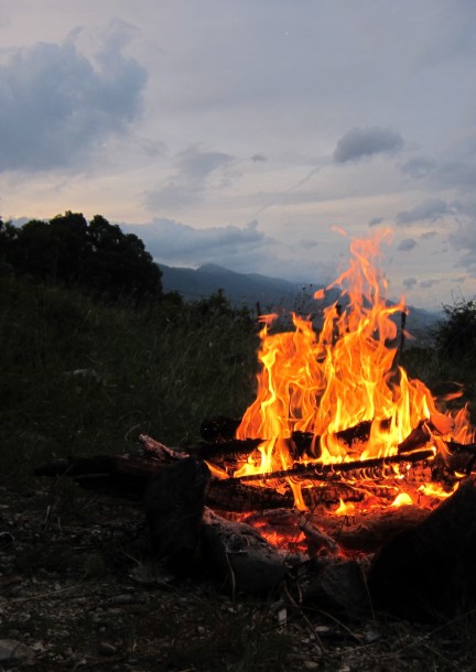 Retraite "INITIATION SAUVAGE" avec 24h seul-e en forêt - Workshops and courses