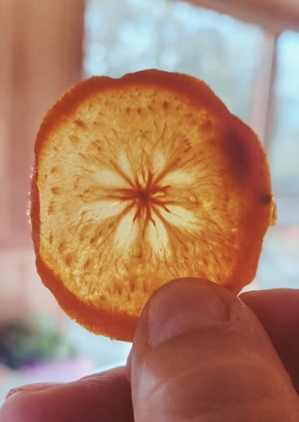 Traverser l’hiver sans s’épuiser - Workshop e stage