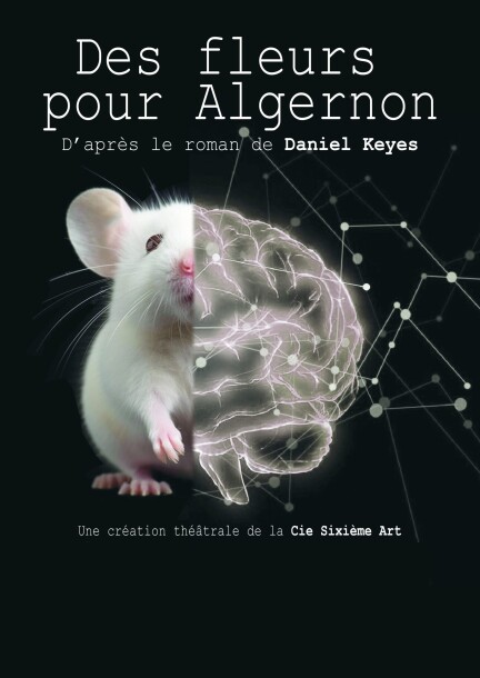 Des fleurs pour Algernon - Théâtre et arts vivants - Théâtricul