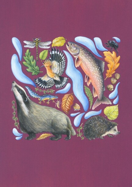 Les Rencontres de la faune genevoise - 3e édition - Conférences - HEPIA - Aula