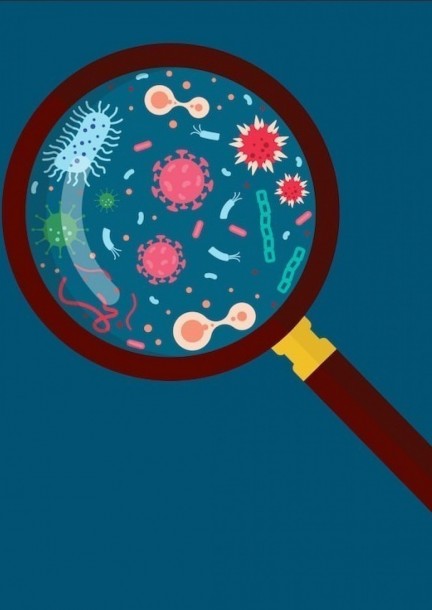 Tous publics dès 10 ans - Les microbes à la loupe : jouer pour comprendre le vivant (MyKrobs) - Ateliers et stages - EPFL Rolex Learning Center - Espace Tinguely