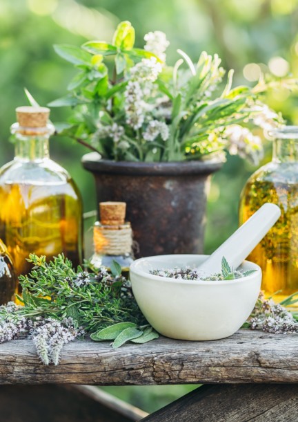 Cours : Les plantes médicinales - L’expression du végétal et les vertus thérapeutiques des plantes (avec sortie jardin médicinal - Formations - Ecole d'Ayurveda (Denges)