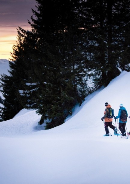 Snowshoeing & lunch for lovers - Walks and visits