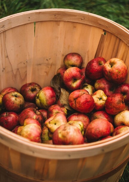 Atelier cidre — un tour du monde en dégustation, avec Yanna Delière - Ateliers et stages - Fol'Terre