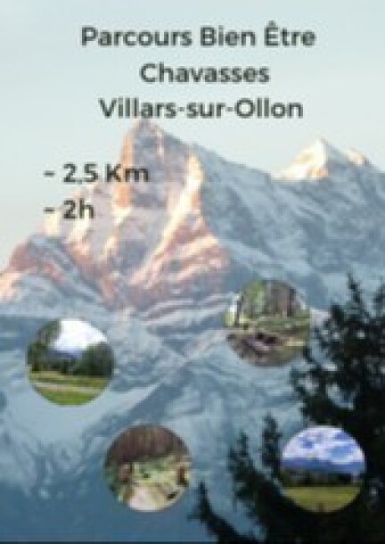 Parcours bien-être Villars sur Ollon - Walks and visits - Arrêt du bus 444 de la route du Roc