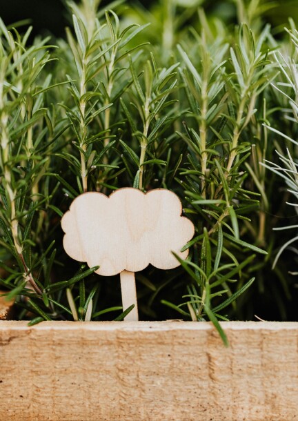 Atelier adulte composition d'aromatiques - Ateliers et stages - Garden Centre Schilliger