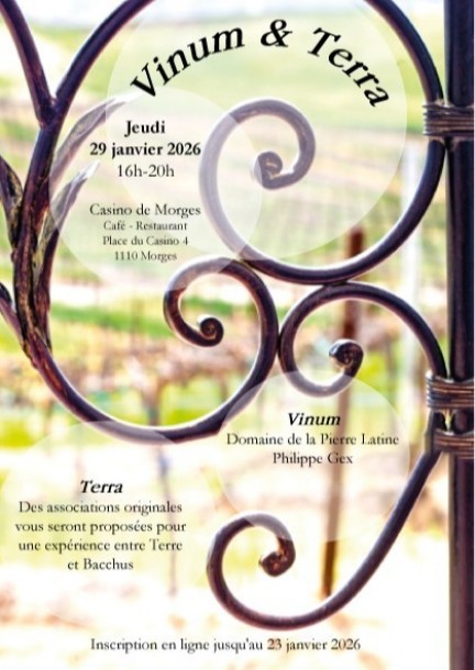 Vinum & Terra - Leisure activities