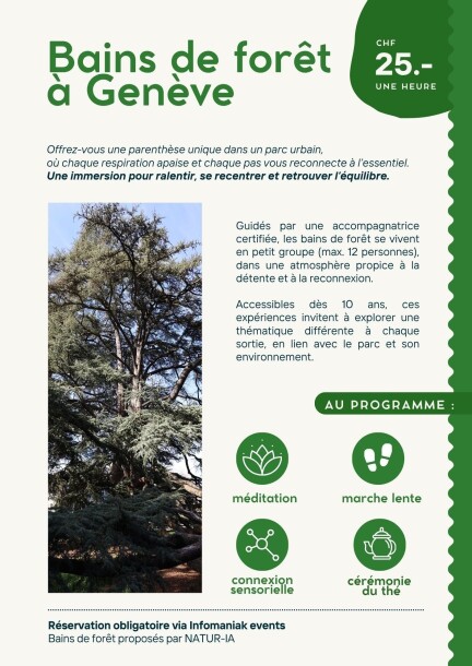 Bains de forêt à Genève - Touren und Besuche - Parc Beaulieu