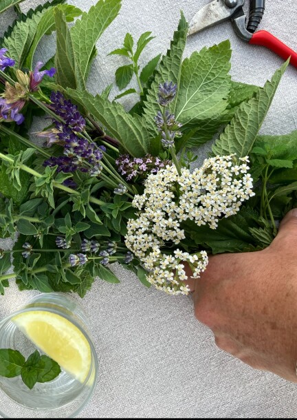 Cuisine végétale Jardin de la Poudrière - Workshops and courses - Fribourg, quartier la Vignettaz