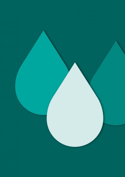 A11 - Clair comme de l’eau de roche ! - 11-13 ans - Family