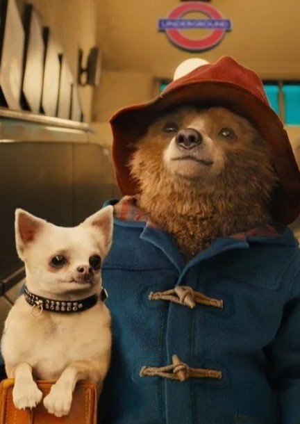 Paddington - Kino