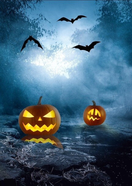 Halloween Party | Parcours en forêt - Loisirs - Place du 6 août