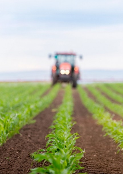 Atelier pédagogique - L'agriculture - Workshops and courses