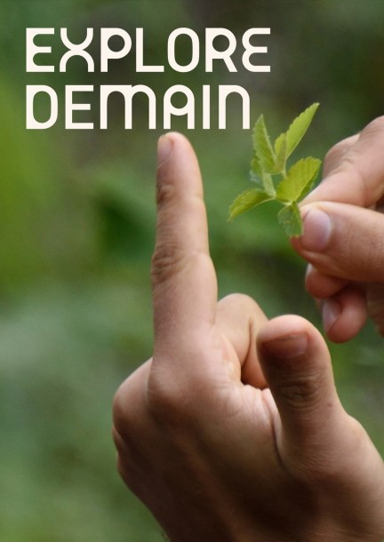 Découverte des plantes sauvages  - atelier - Ateliers et stages