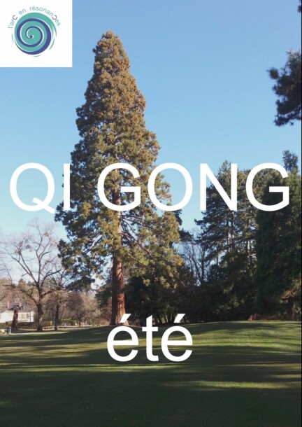 QI GONG ASSIS-Vernier - Sport - Objectif Santé
