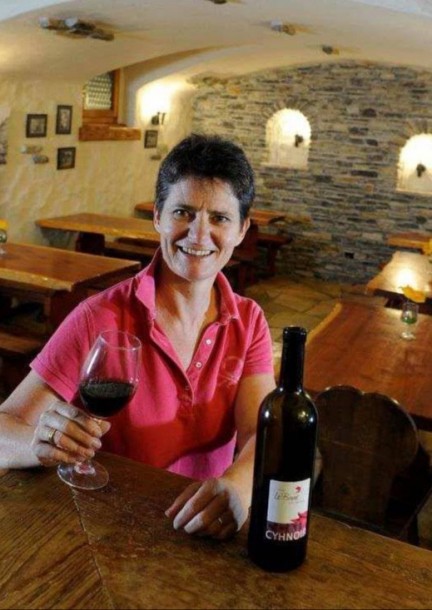 DEGUSTATION DES VINS D'ICI - Leisure activities
