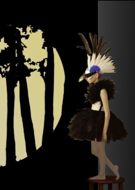 Spectacle pour enfants "Plume" - Family