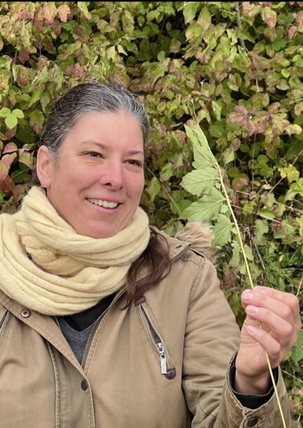 Découverte des plantes sauvages comestibles - Ateliers et stages - Centre sportif de Mauvernay