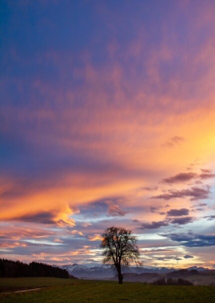 Syens au son de la nuit - Balades et visites - Syens