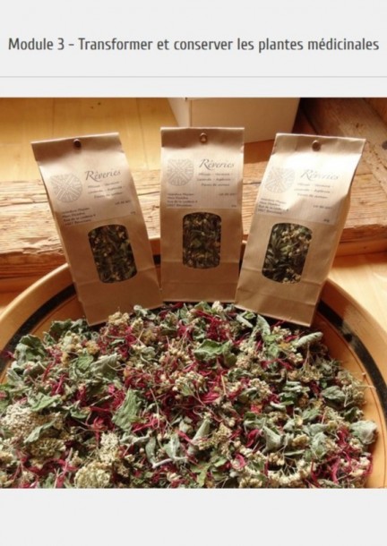 Cultiver et transformer les plantes médicinales - 2026 Module 3 - Transformation et conservation - Formations