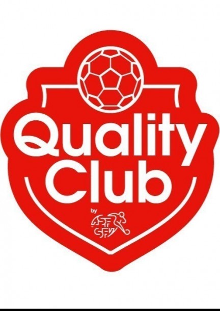 Online-Infoveranstaltung: Alles zum SFV Quality Club - Formations