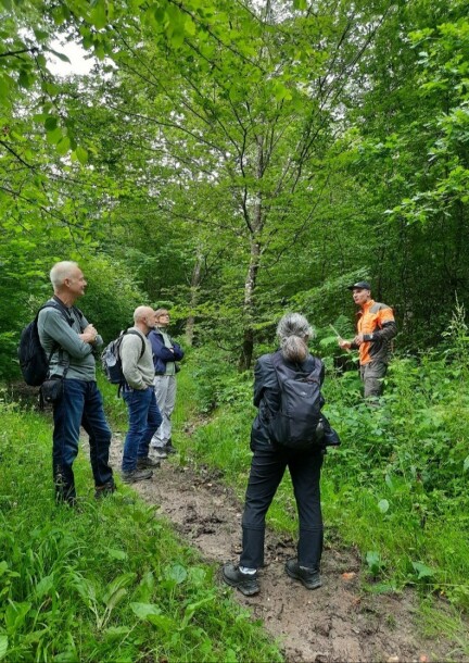 Balade avec un·e forestier·ère - Balades et visites - Centre sportif de Mauvernay