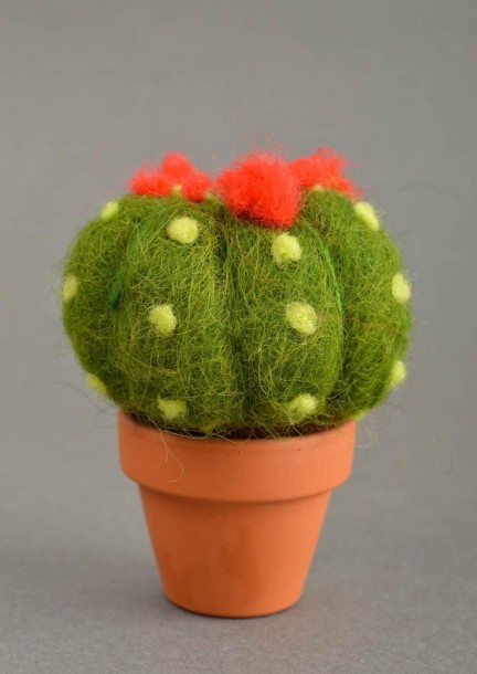 Atelier cactus en laine feutrée - Workshops and courses