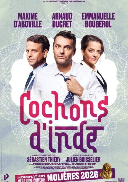 Cochons d'Indes - Théâtre et arts vivants - BFM (Bâtiment des Forces Motrices)