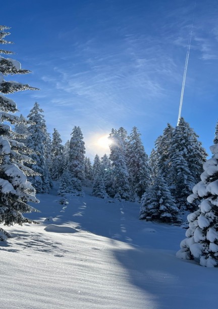 Allez ouste, on passe la nuit dehors - Leisure activities