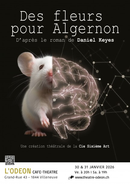 DES FLEURS POUR ALGERNON de Daniel Keyes - Théâtre et arts vivants