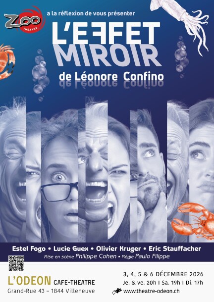 L'EFFET MIROIR - ZOO THÉÂTRE - Léonore Confino - Theater und Bühnenkunst