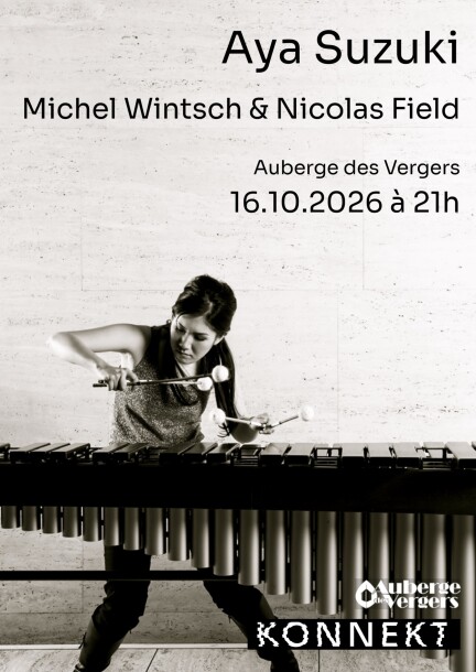 Aya Suzuki, Michel Wintsch & Nicolas Field — Concerts improvisés - Concerts - Salle culturelle de l'Auberge des Vergers