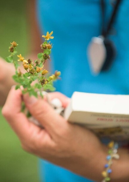 Journée "Plante, donne-moi ton nom" - Workshops und Praktika - Chalet Chanso