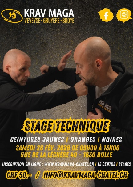 Stage technique : ceintures jaunes, oranges & noires - Sport